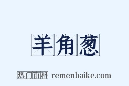 羊角葱是什么意思的图片